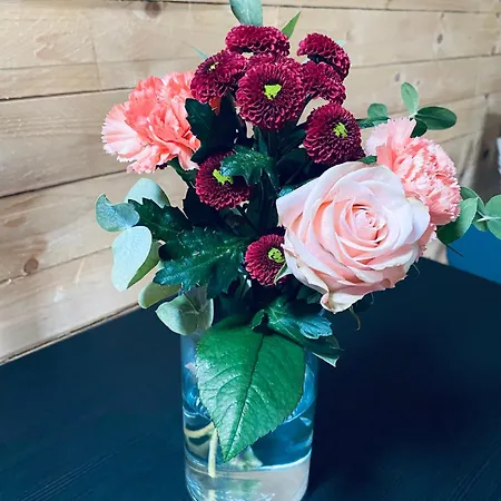 度假居 L Abri Douillet 力宾